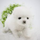 처음보다 더 이미지