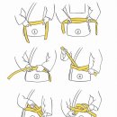 용인대안산유도체육관 이미지