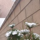 능마루1로 이미지