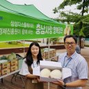 충남사