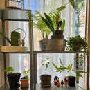 팔거천서로 이미지