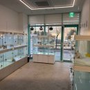 동탄강아지분양 도그데이 이미지