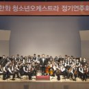 청소년오케스트라 정기연주회 이미지