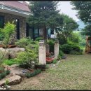 산골밥상민박 | 청도 산청이네 민박 남겨서뭐하게 밥주는 민박집 가격 예약