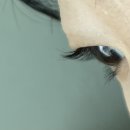 세븐일레븐 안산장화로점 | 안산속눈썹 잘하는 곳 무쌍 스무살에머물다 안산원곡점 솔직 후기