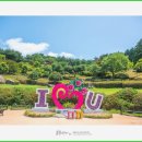 해비알마을 | [바다산성] 차분한 여름의 휴식처, 충남 해비알마을의 맛집