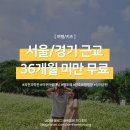 지민36 | 📍서울/경기 36개월 미만 무료 입장 추천 장소 5곳 (과천과학관/벨포레리조트/서울대공원/양주르/광교...