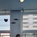 용인대 더 레전드 태권도장 이미지