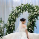 더뮤 | 더뮤 | 포항 더퀸 본식 후기, 포항 더뮤, 포항 더퀸 드레스 피팅 후기, 포항 더퀸 예식 후기, 포항...