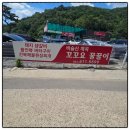 꼬꼬&숯불 꿀꿀이 네이버블로그