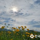 낙동강수련원 캠핑장 이미지