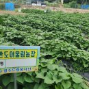 어울림농장 이미지