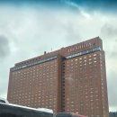 신라장식타워 | 신라 리워즈 삼성카드의 서울신라호텔 더 파크뷰 2인...저녁 식사하고 온 후기 (feat. 나의 생일 만찬)