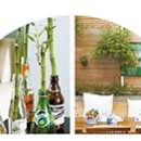 허브향기 이미지