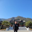 한방자연휴양림 이미지