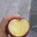 붐~~ 이미지
