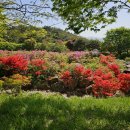 지리산허브벨리 이미지