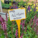 선영이꽃집