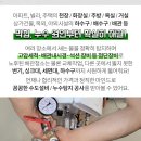 제일성광유치원 이미지