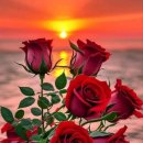 행복한하루 이미지