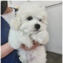 서울종합동물병원 이미지