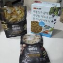 바이올독 푸드 | 강아지 만성췌장염 식단 관리 후기(12살 강아지 실제 식단 공유)