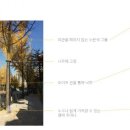 법동삼익소월상가 네이버블로그
