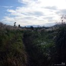 명월로에서 이미지