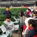 인천동부초등학교 이미지