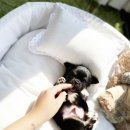 마이퍼피 경남거제점 이미지