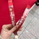 강남펫스타일 | 가볍게 구경하기 좋았던 크리스마스 서울펫쇼 후기