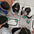 신흥 초등학교 이미지