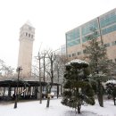 세종사이버대학교 이미지