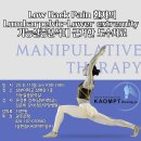 (2차 특강)Low Back Pain 환자의 Lumbarpelvic-Lower extremity 기능실증분석에 근거한 도수치료 이미지