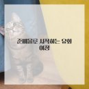 기초 유화 이미지