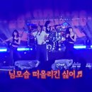 글로벌뮤직 | 디엠지 피스트레인 뮤직 페스티벌 후기 가수 인순이 밤이면 밤마다 떼창은 기본 흔들흔들은 필수