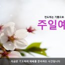 2025년 6월 22일 주일예배 이미지