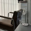 단정(Hair Salon)