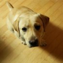 김포동물병원 이미지