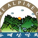 정읍장갑 이미지