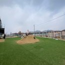 강아지놀이터 이미지