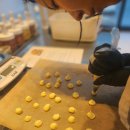 반려동물수제간식만들기 이미지