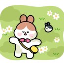 미스터옥슈슈