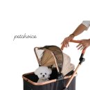 초이스펫 이미지