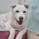 도곡종합동물병원 이미지