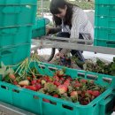 일건농장 이미지