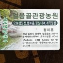 부성건어물 네이버블로그