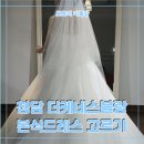 꿈꾸는(dream)2 발전소 | 더케네스블랑 본식피팅후기 워크인신부 본식드레스 고르기