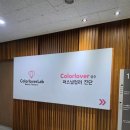 컬러버랩 | 퍼스널컬러 처음 받아본 후기! 성수 컬러버 스탠다드 패키지 내돈내산 리뷰