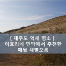 산이랑별이랑민박 이미지